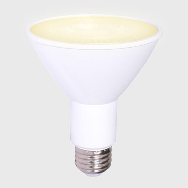 LAMPARA LED PAR 10W 3000K E27 800LM - Imagen 2