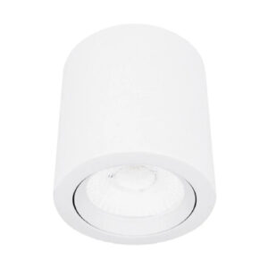 INTERIOR ACENTO SPOT LED 10W100-240V 3000K