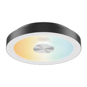 PLAFON-INTERIOR GUDJA 20W, 100-240V, 600-750LM NGRO 2/2