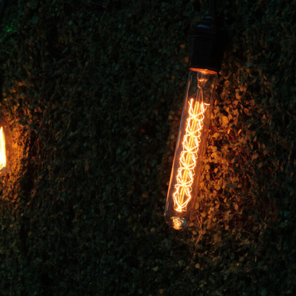 BOMBILLA INCANDESCENTE TUBO 35W127VE27 - Imagen 4