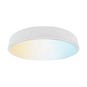 |LÁMPARA LED PLAFÓN CUJAM II 36W, 100-240V, 2100LM  BCO