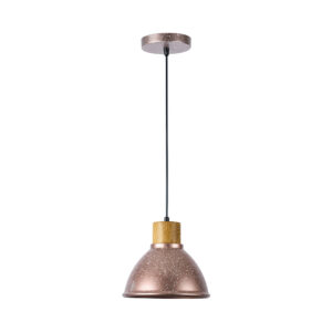 |LAMP-COLG. GLOAS I 60W Max, 100-240V, BASE E27 ROS 2/2