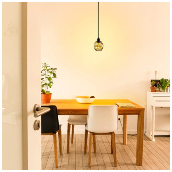 LUMINARIO DE INTERIOR SUSPENDIDOS S/L 100-240V E27 - Imagen 4