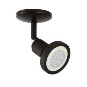 CANOPE DIR 75W PAR30 YS-398/N