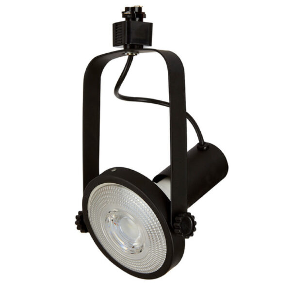 SPOT RIEL PAR38 90W  YS-395/N