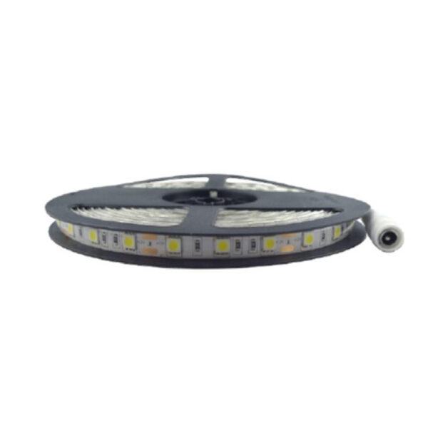 TIRA FLEXIBLE DE LED 5050 SMD A 12V IP65
